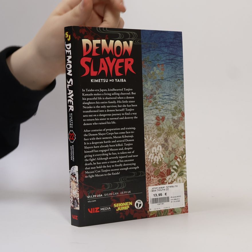 Koyoharu Gotōge Demon Slayer 22