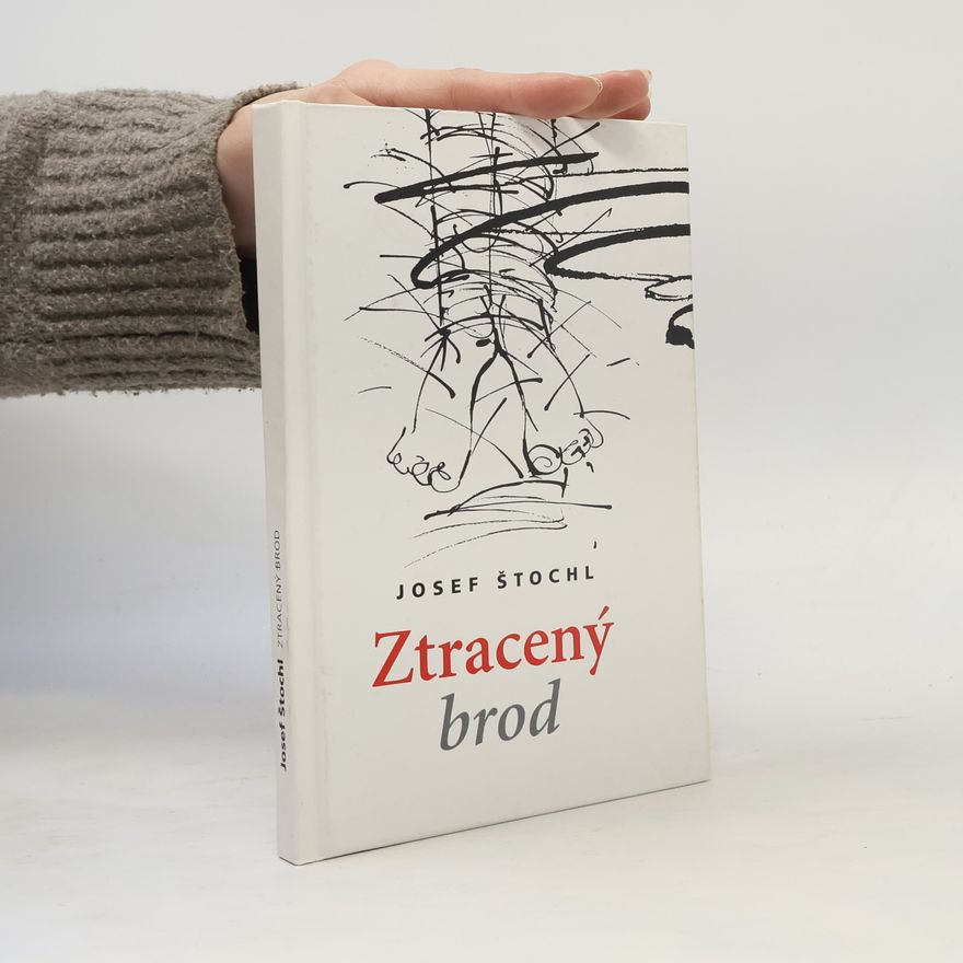 Josef Štochl Ztracený brod