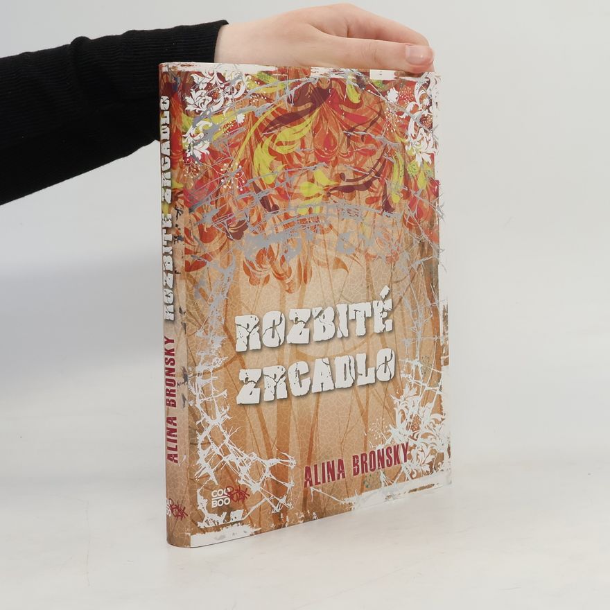 Alina Bronsky Rozbité zrcadlo