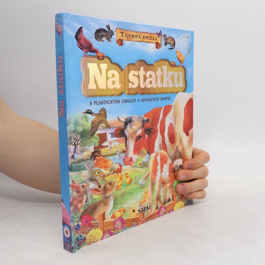 Francisca Valiente Na statku : tajemná knížka s plastickými obrazy a spoustou skrýší