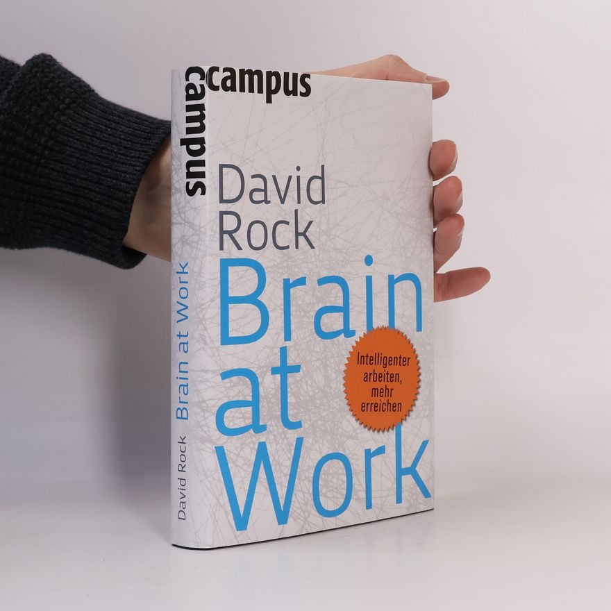 David Rock Brain at Work