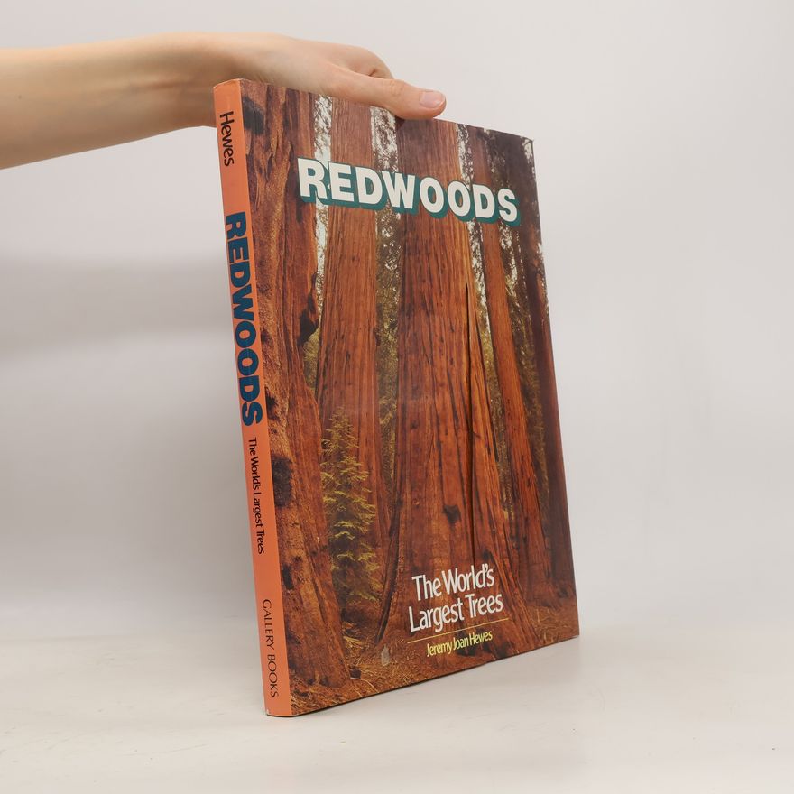 Jeremy Joan Hewes Redwoods