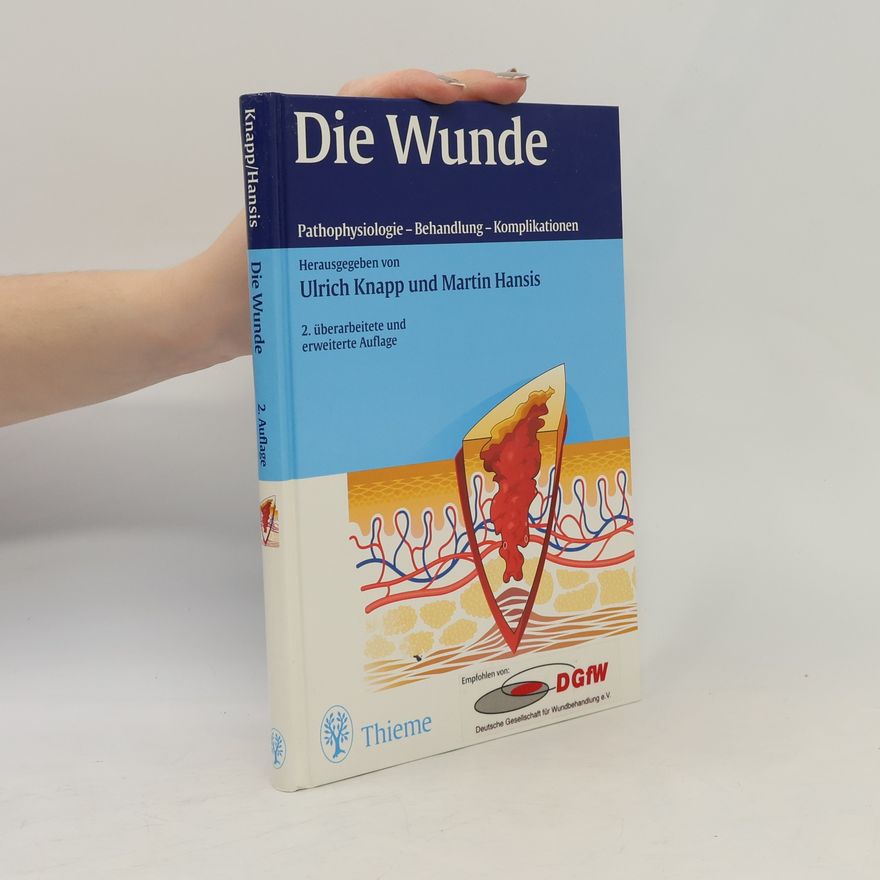 Martin L. Hansis Die Wunde - 2. überarbeitete und erweiterte Auflage