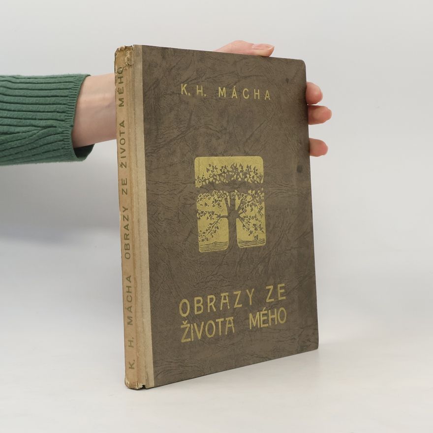 Karel Hynek Mácha Obrazy ze života mého