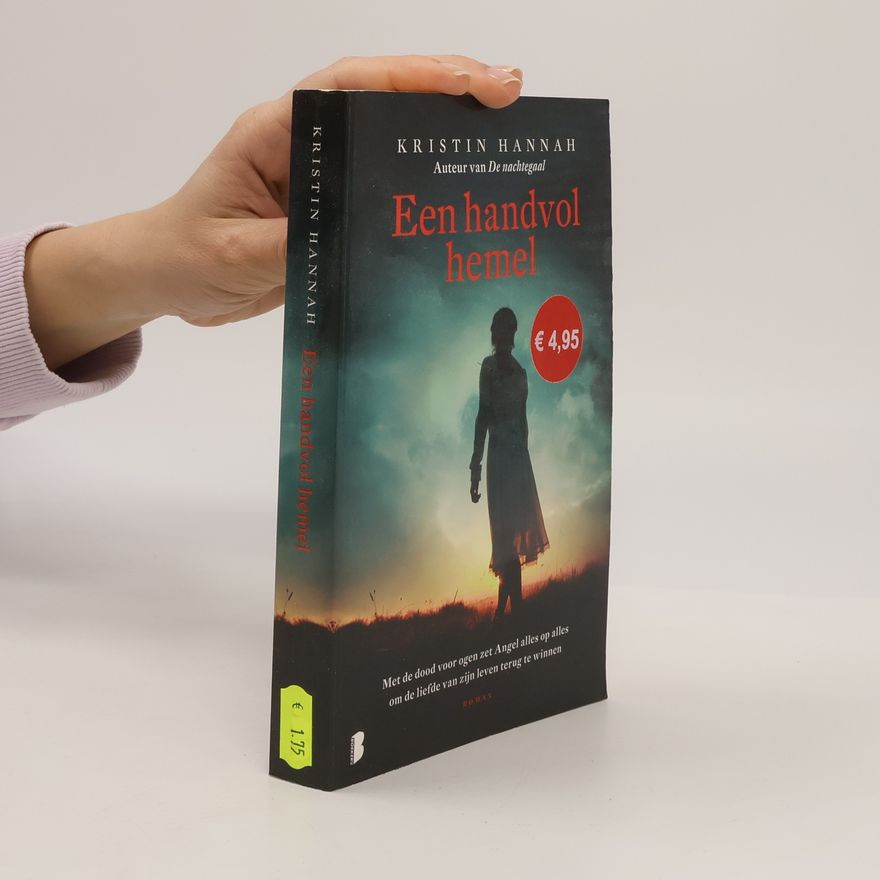 Kristin Hannah Een handvol hemel