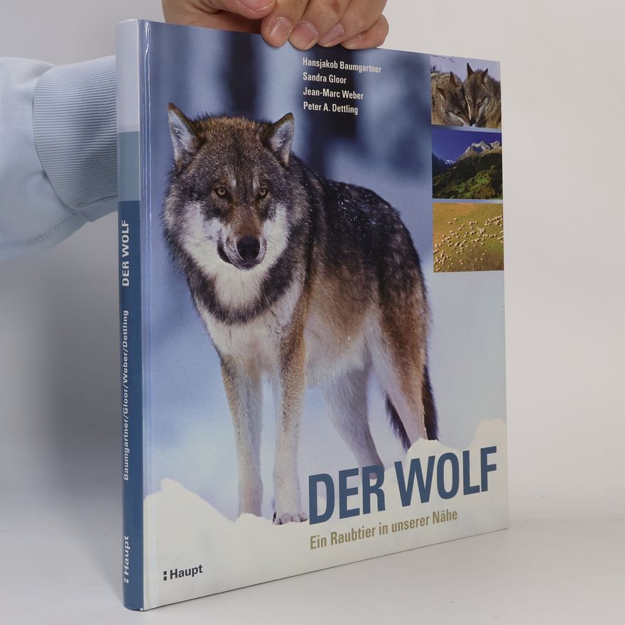 Hansjakob Baumgartner Der Wolf