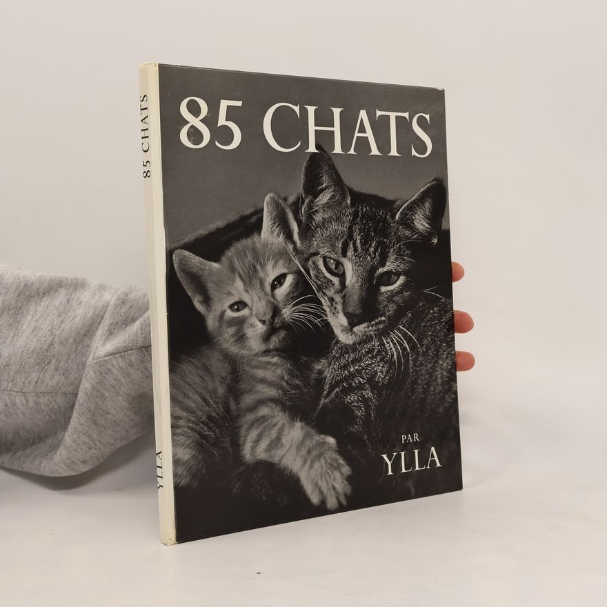Auteurscollectief 85 Chats