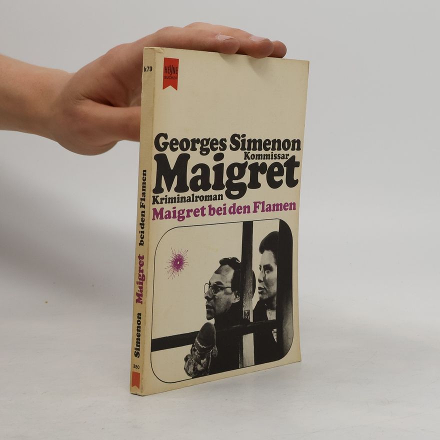 Georges Simenon Kommissar Maigret: Maigret bei den Flamen