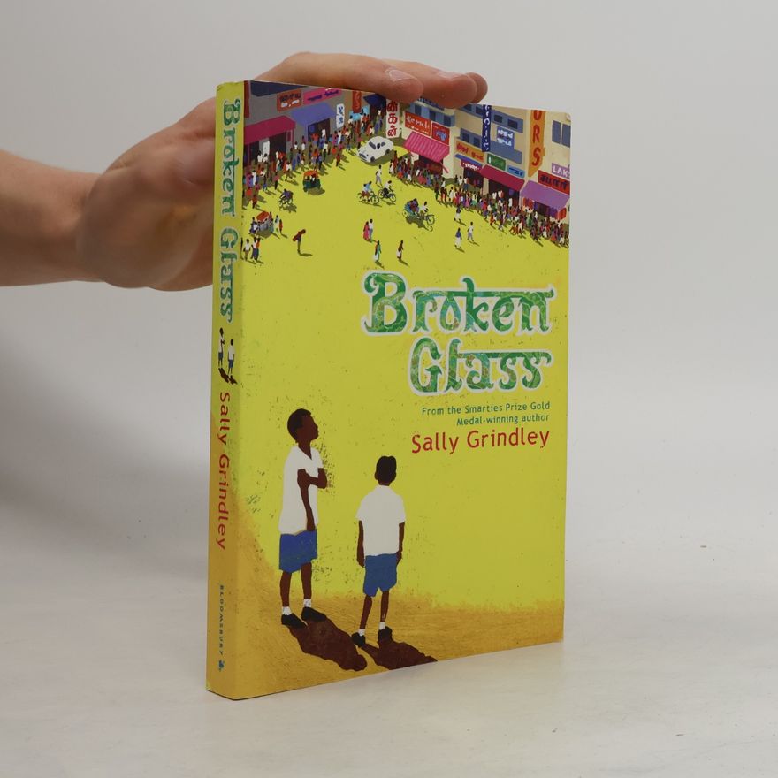 Sally Grindley Broken Glass