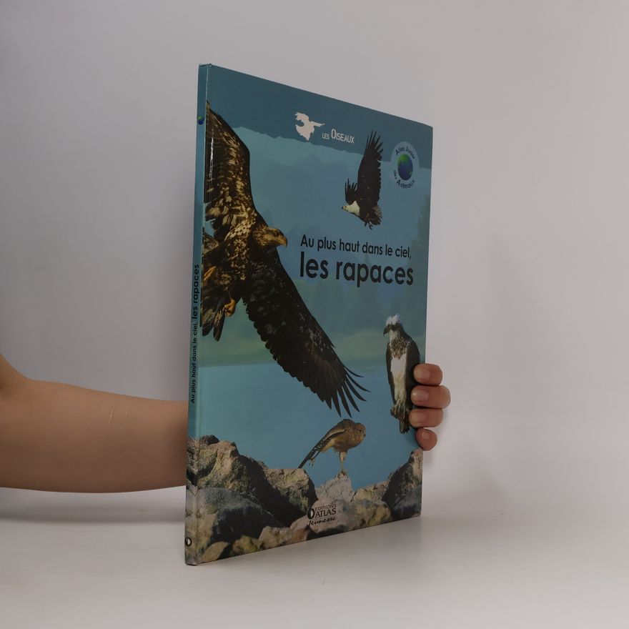 Hélène Montardre Atlas junior des animaux: Au plus haut dans le ciel: les rapaces