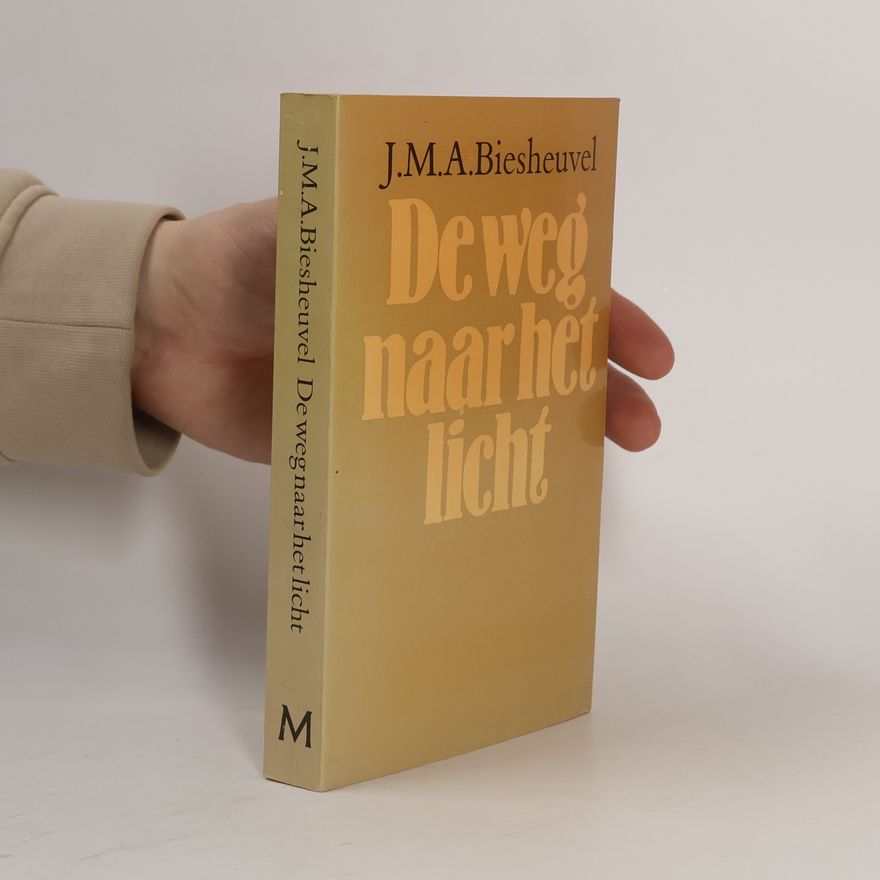J. M. A. Biesheuvel De weg naar het licht en andere verhalen