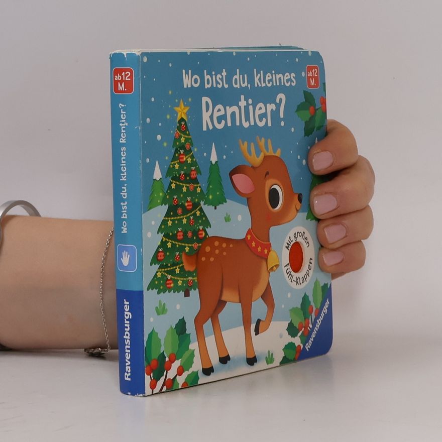 Meike Theda Wo bist du, kleines Rentier?
