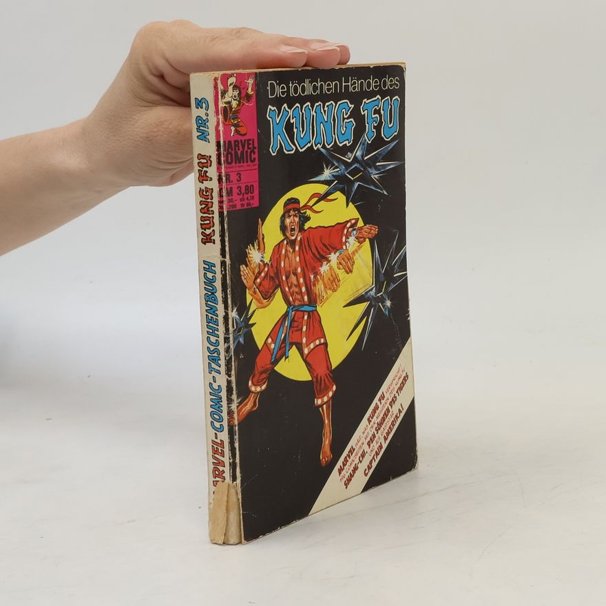 Autorenkollektiv Die tödlichen Hände des Kung Fu 3