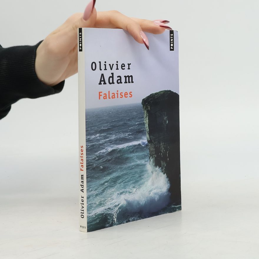 Olivier Adam Falaises