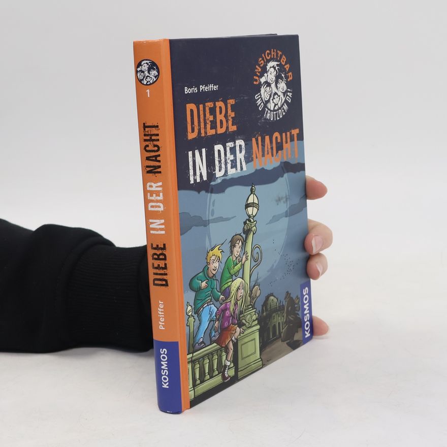 Boris Pfeiffer Diebe in der Nacht