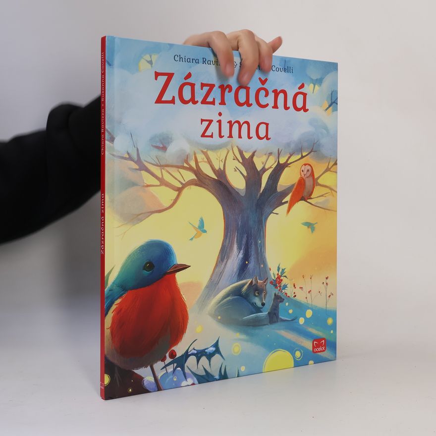 Chiara Ravizza Zázračná zima