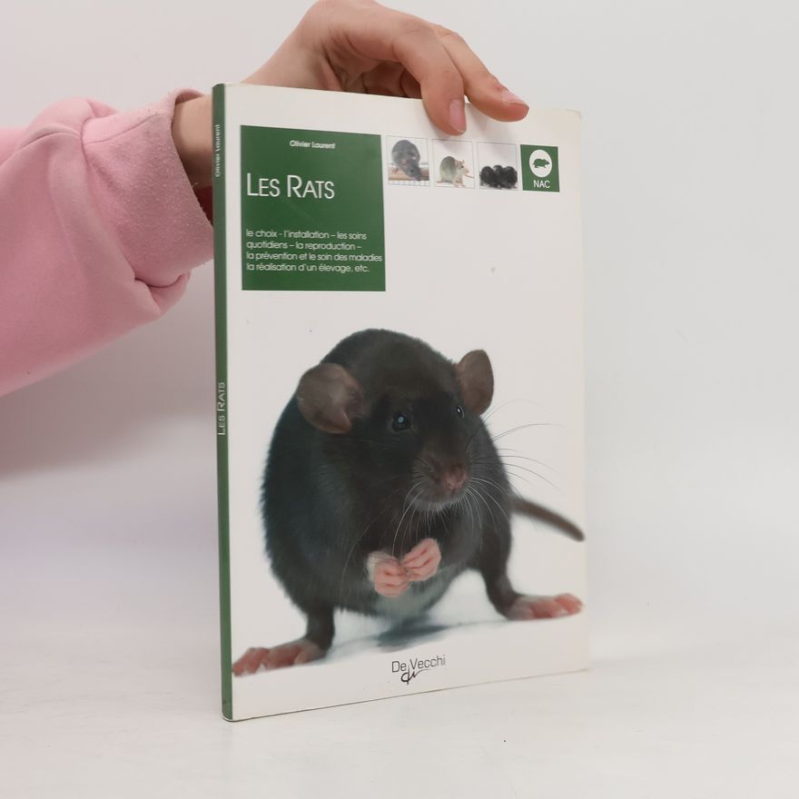 Olivier Laurent Les rats