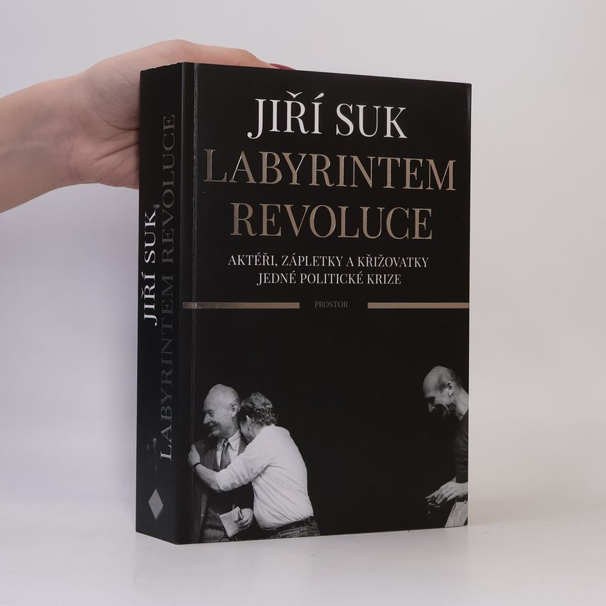 Jiří Suk Labyrintem revoluce