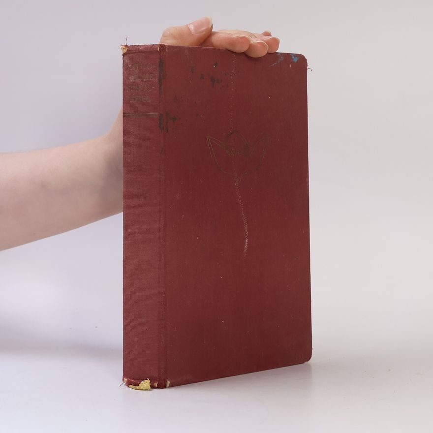Autorenkollektiv Katholische Schulbibel