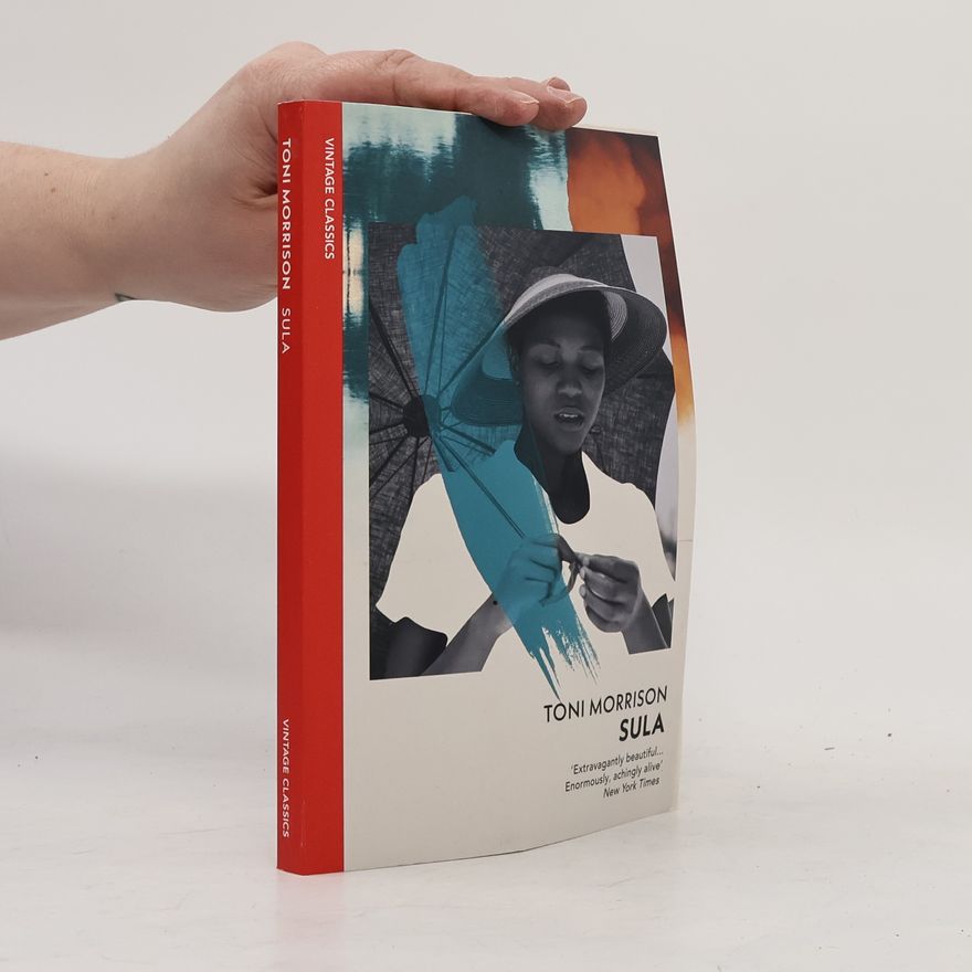 Toni Morrison Sula