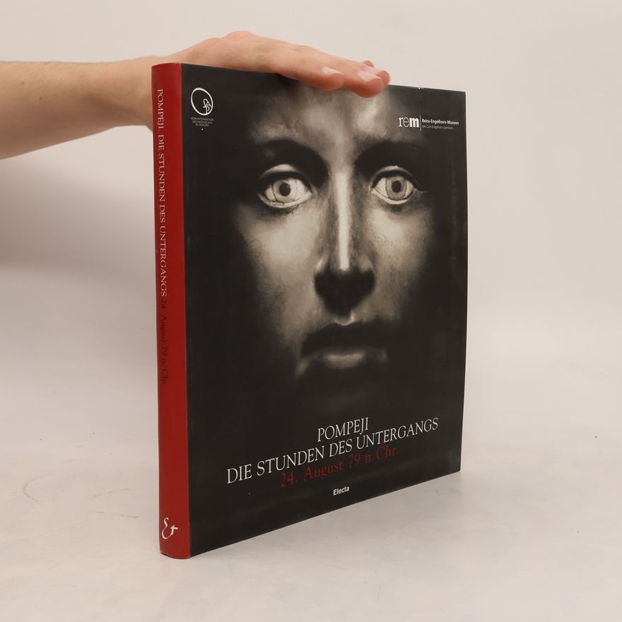 Autorenkollektiv Pompeji - die Stunden des Untergangs