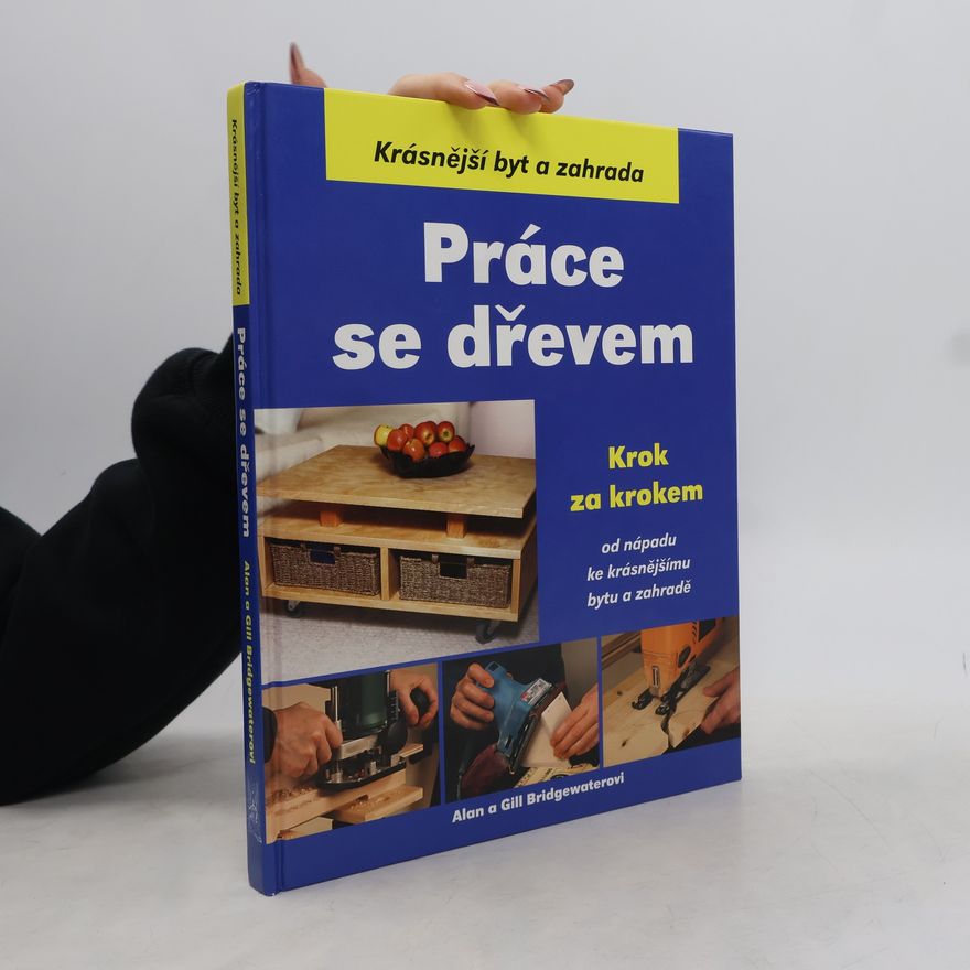 Alan Bridgewater Práce se dřevem krok za krokem
