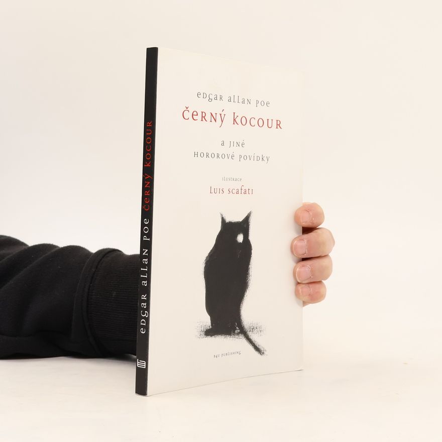 Edgar Allan Poe Černý kocour a jiné hororové povídky