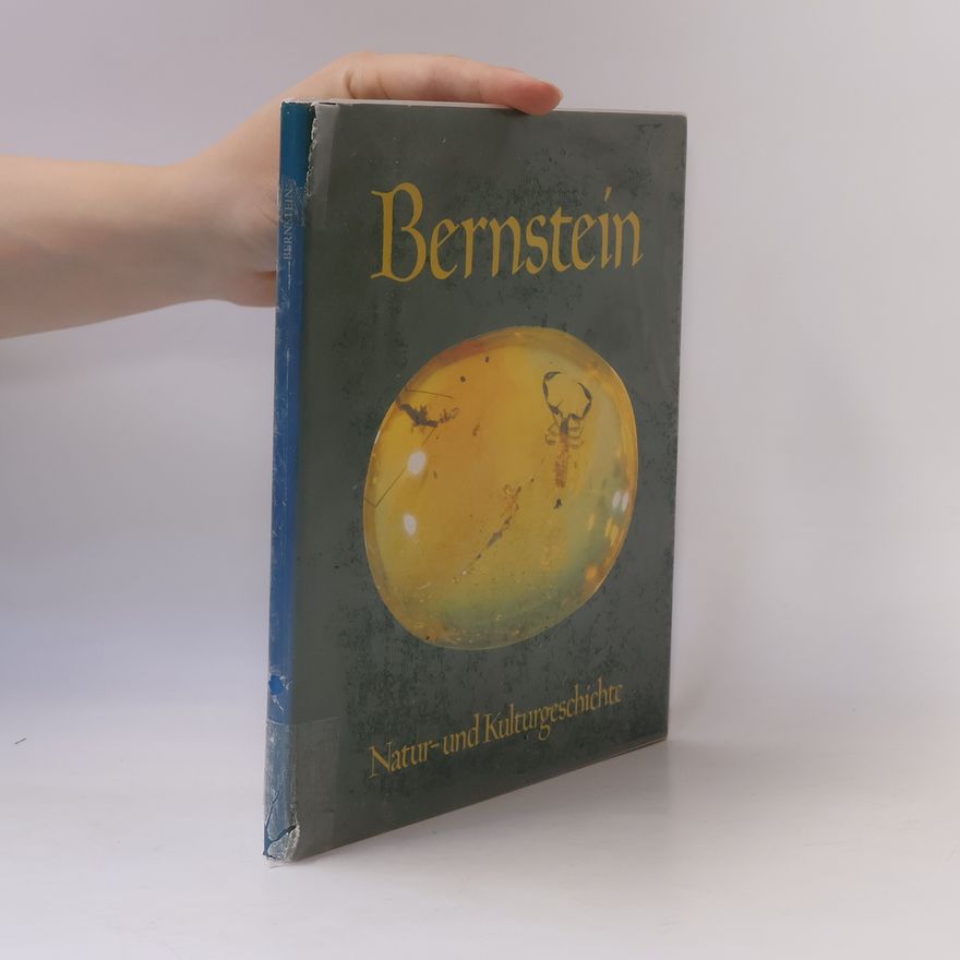 Dieter Schlee Bernstein in Natur- und Kulturgeschichte
