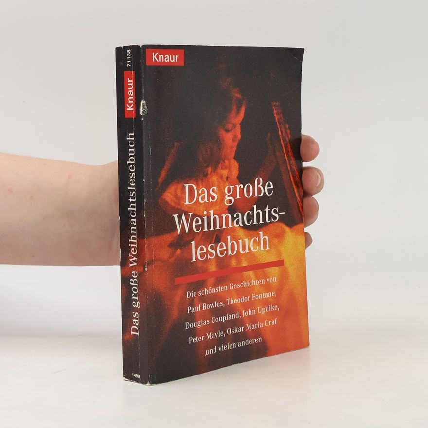 Holger Wolandt Das große Weihnachtslesebuch
