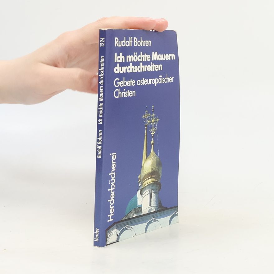 Rudolf Bohren Ich möchte Mauern durchschreiten