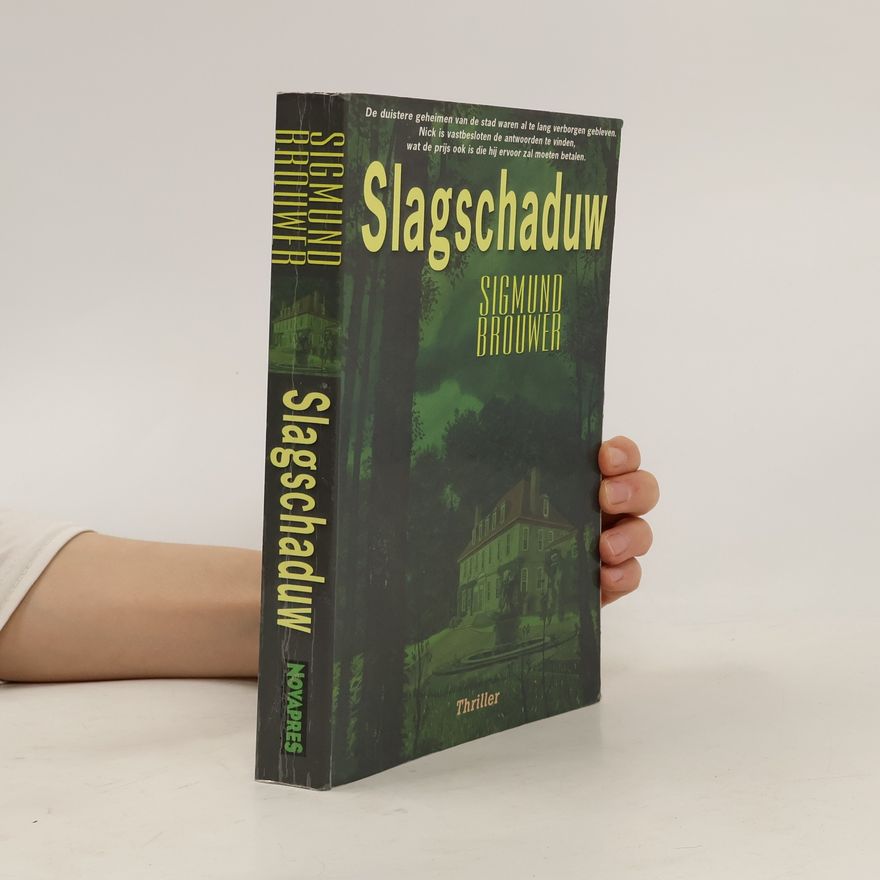 Willem Keesmaat Slagschaduw