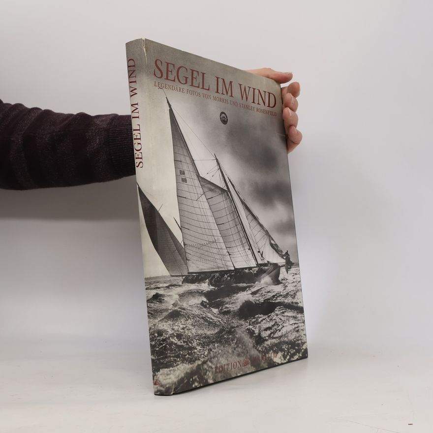 Stanley Rosenfeld Segel im Wind