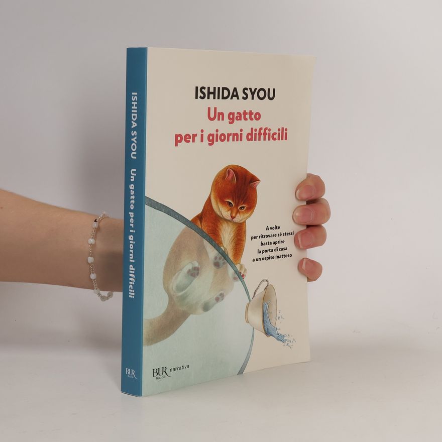 Syou Ishida Un gatto per i giorni difficili