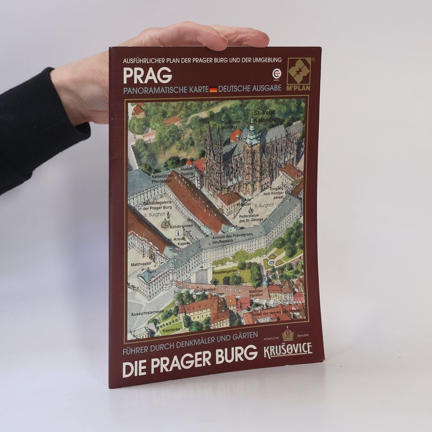 Vladimir Rimal Die Prager Burg
