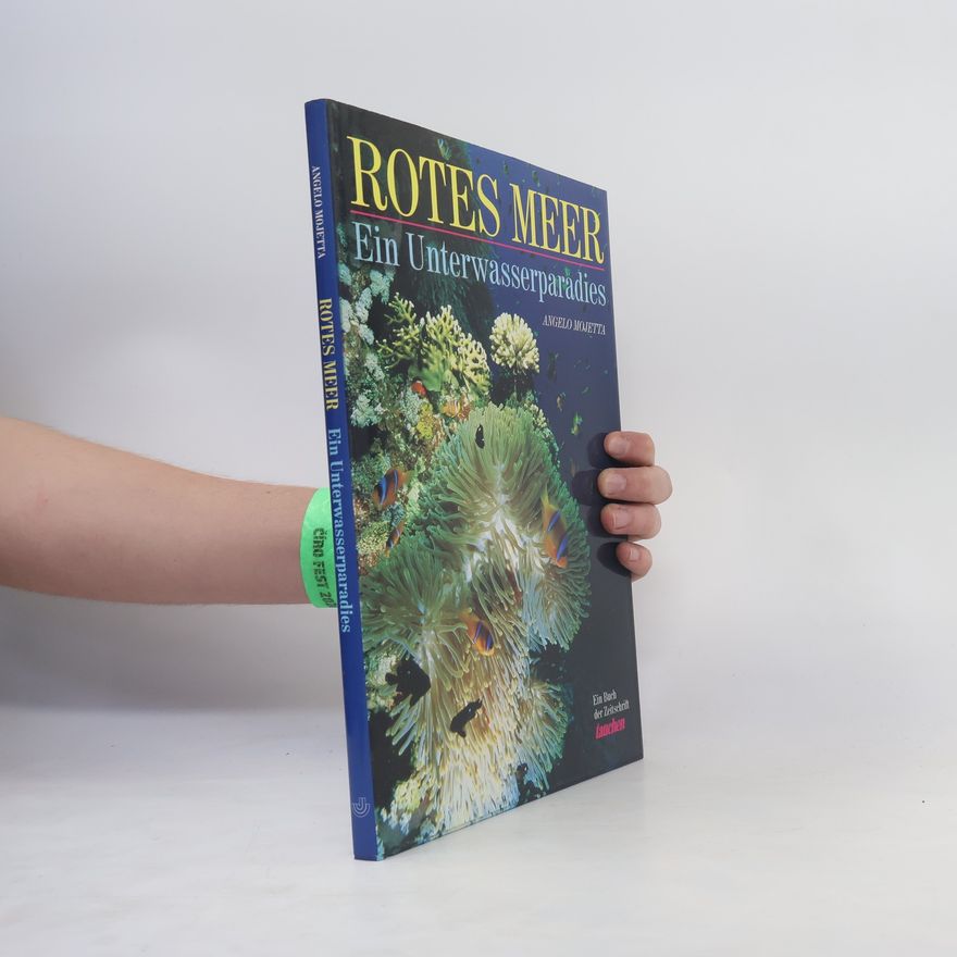 Valeria Manferto Rotes Meer