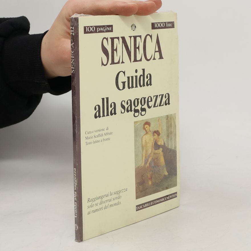 Mario Scaffidi Abbate Tascabili economici Newton - 212: Guida alla saggezza