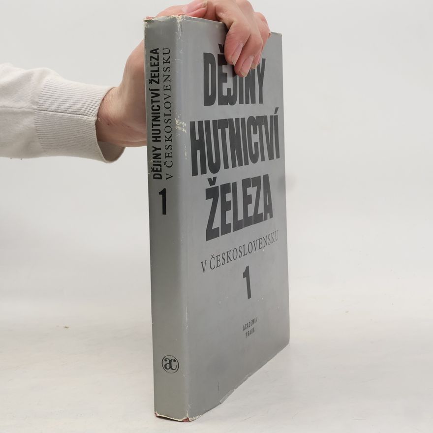 Autorenkollektiv Dějiny hutnictví železa v Československu 1
