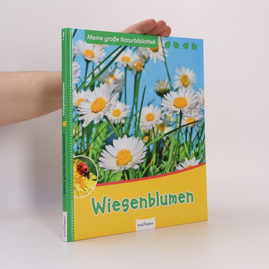Svenja Ernsten Wiesenblumen