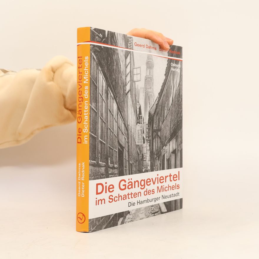 Dieter Rednak Die Gängeviertel im Schatten des Michels
