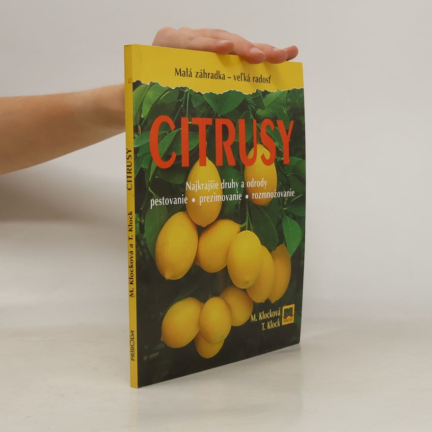 Thorsten Klock Citrusy