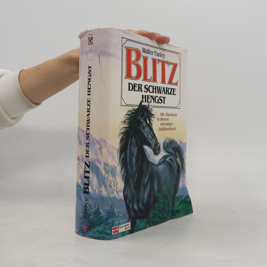 Walter Farley Blitz, der schwarze Hengst