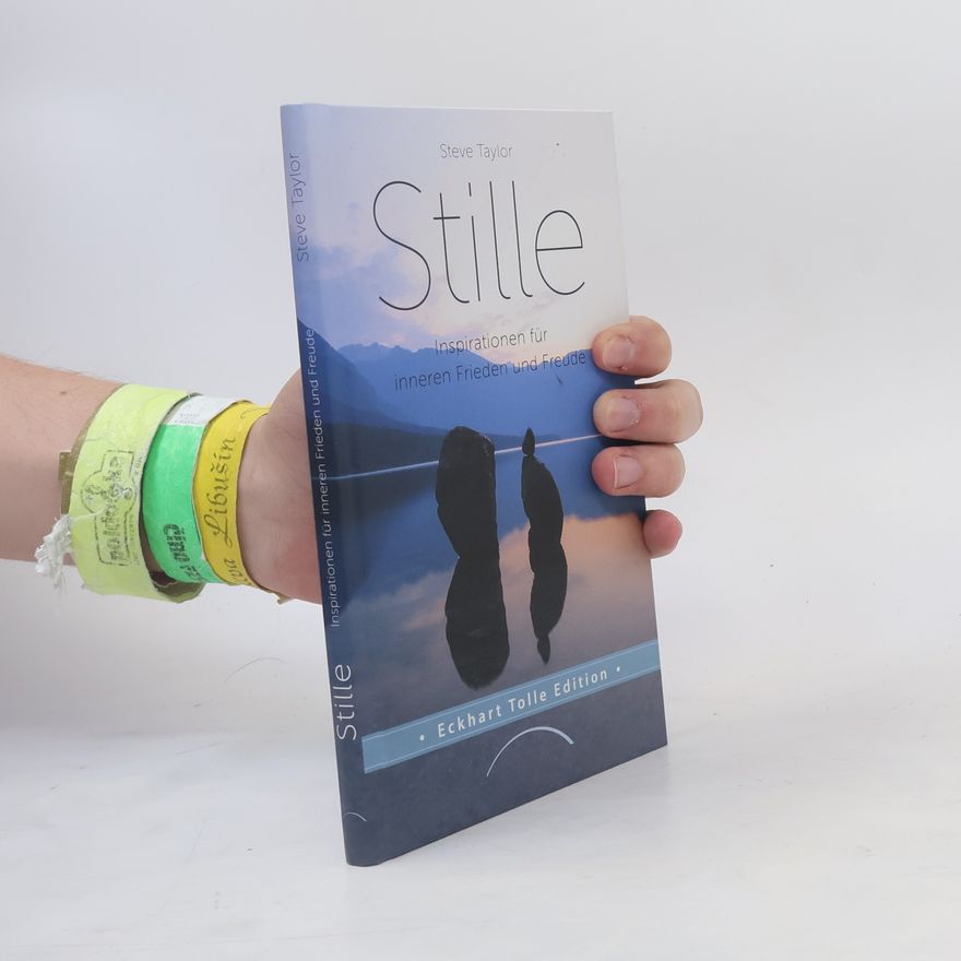 Steve Taylor Stille