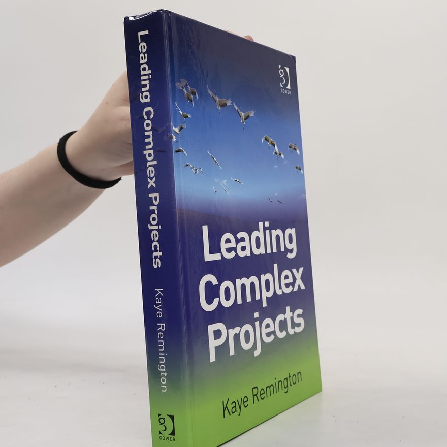 Kaye Remington Leading Complex Projects
