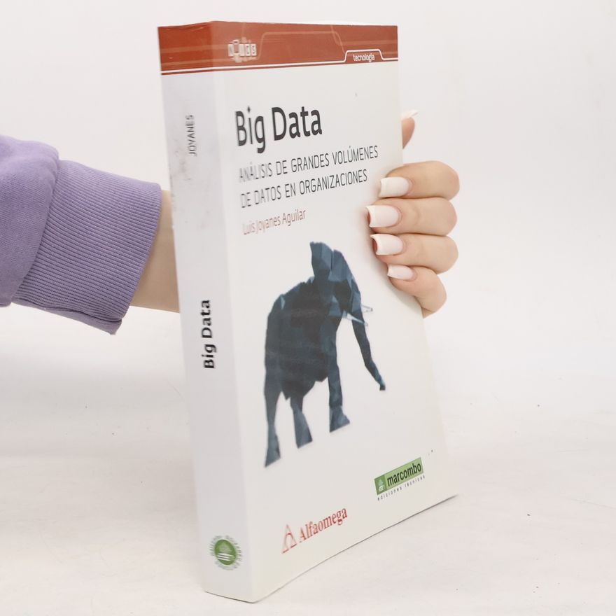 Luis Joyanes Aguilar Big Data