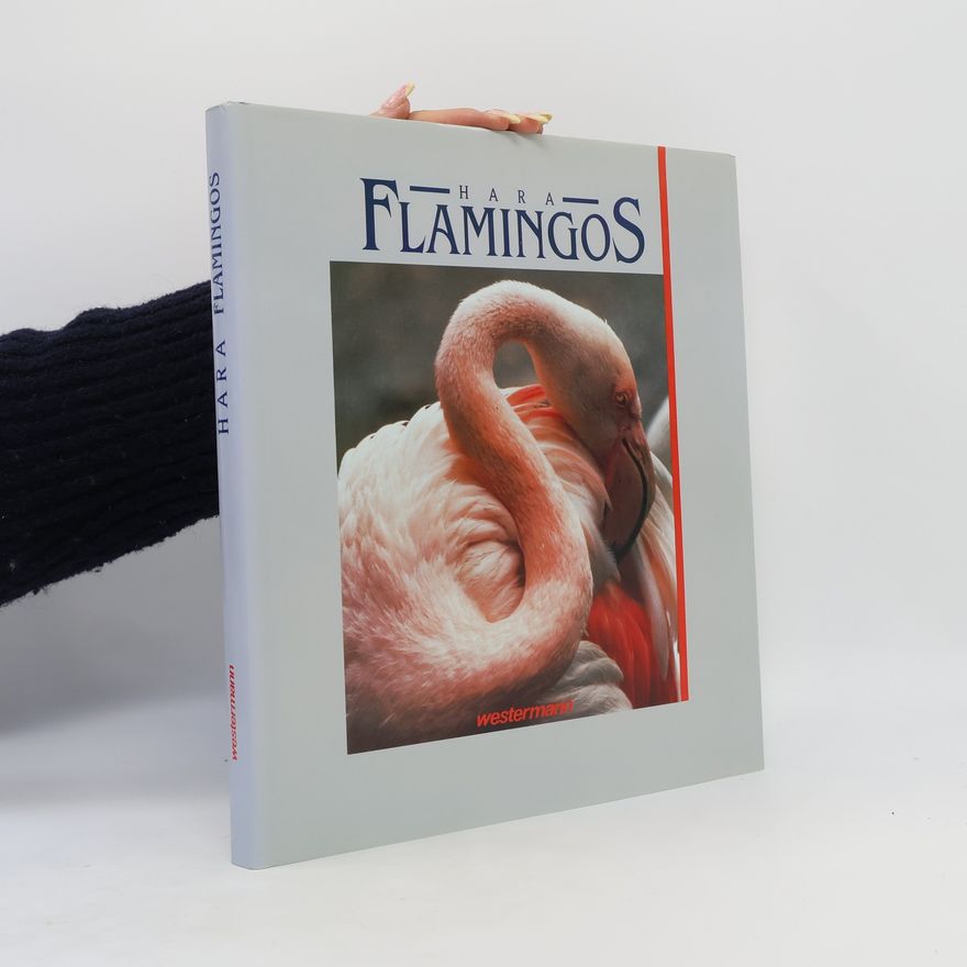 Hara Flamingos