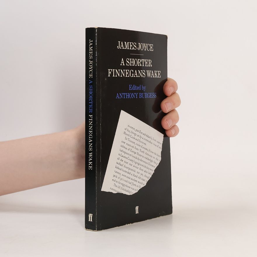 James Joyce A Shorter Finnegans Wake