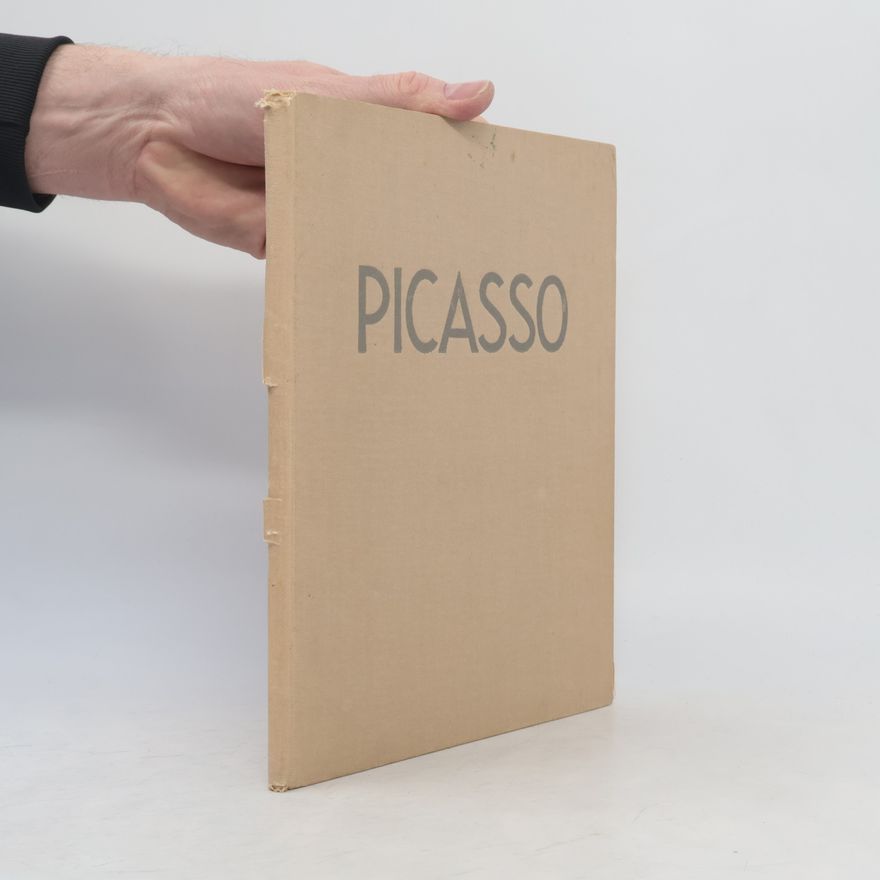 Auteurscollectief Picasso: Les couleurs des maîtres