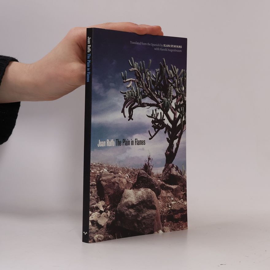 Juan Rulfo The Plain in Flames