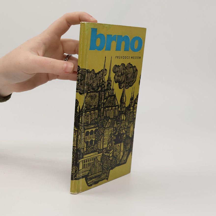 Vladislav David Brno. Průvodce městem