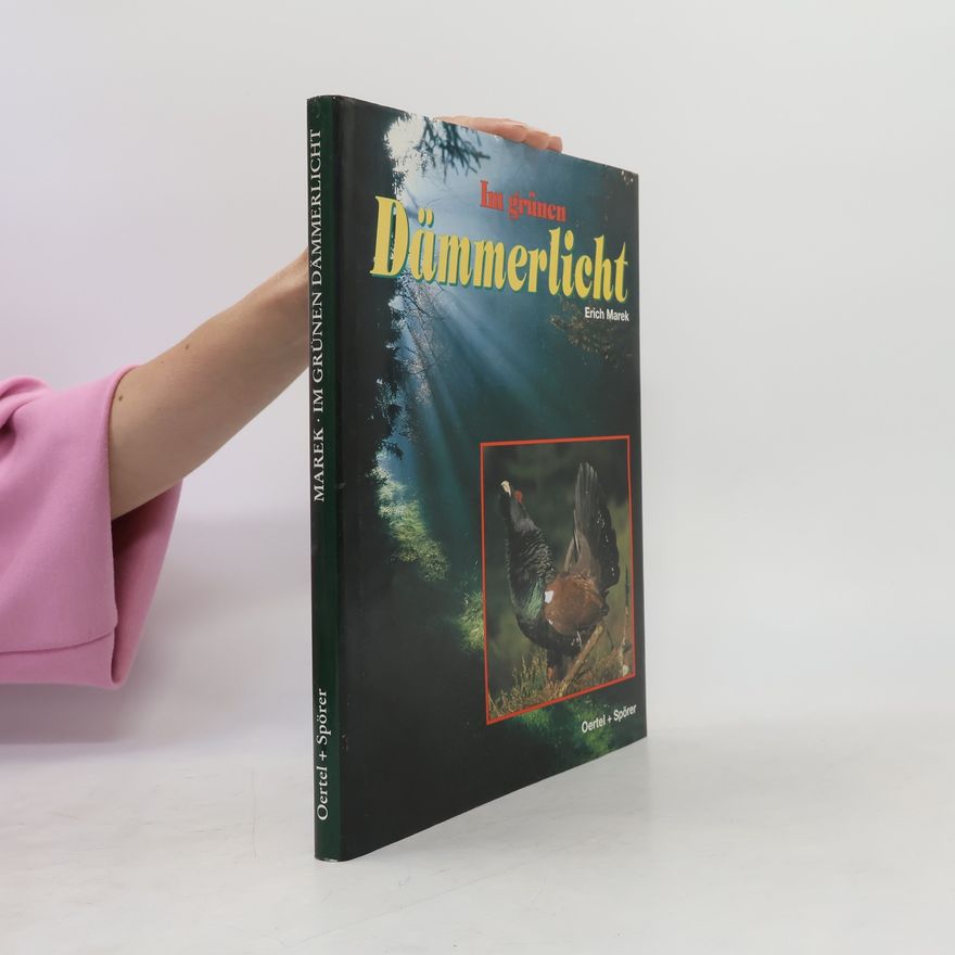 Werner Stoll Im grünen Dämmerlicht